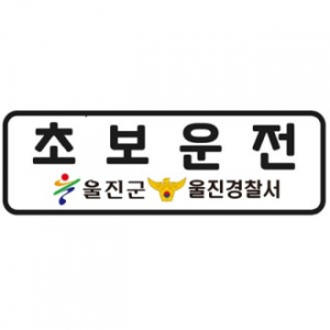 고휘도 형광 반사 스티커 -차량용 220x70mm