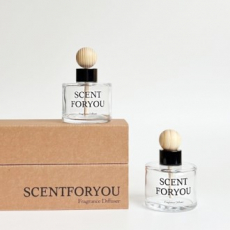 FINE 센트포유 차량용디퓨저 120ml 2구 D34