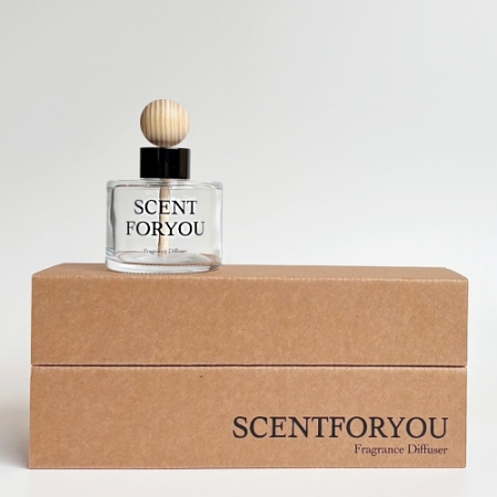 FINE 센트포유 차량용디퓨저 120ml 1구 D33 #4