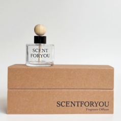 FINE 센트포유 차량용디퓨저 120ml 1구 D33