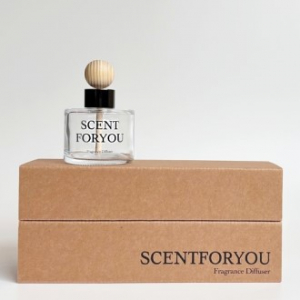 FINE 센트포유 차량용디퓨저 120ml 1구 D33