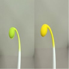 콩나물 볼펜 (초록, 노랑)