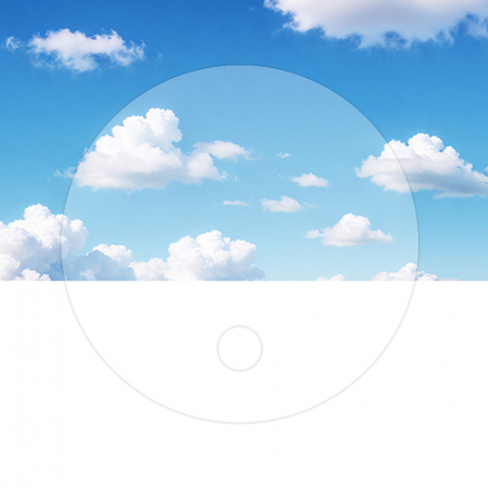 고투명 원형 둥글이 부채 (무지/인쇄불가) #3