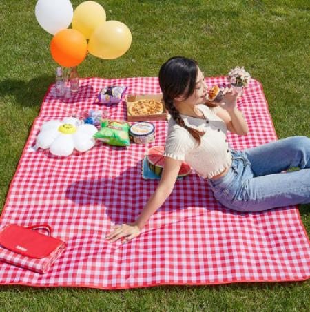 화사한 체크 돗자리 피크닉매트 사계절 캠핑 휴대용 방수  여행 등산 한강 캠핑 중형 대형 특대형 #2