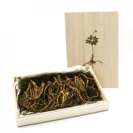 산양삼 장뇌삼 8~10년근 프리미엄 선물세트 #2