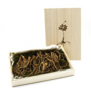 산양삼 장뇌삼 8~10년근 프리미엄 선물세트