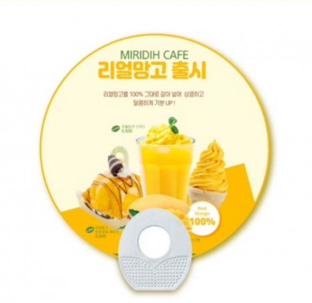 원형 계란모양 지압자루 부채 #2