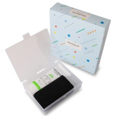 에버센스 카밍 선크림 쿨토시 세트