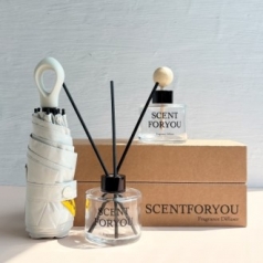 FINE 센트포유디퓨저 차량용 1구 + 실내용 1구 + 초경량 멀티고리 5단우산세트 SU36