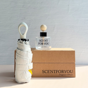 FINE 센트포유 차량용디퓨저 120ml 1구 + 초경량 멀티고리 5단우산세트 SU25