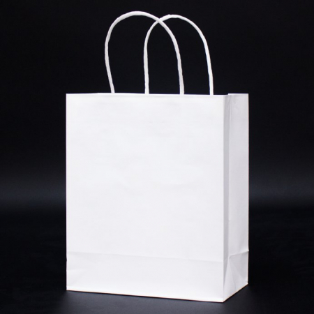 친환경 스마트 쇼핑백 W 210*100*255 #2