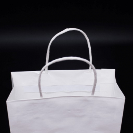 친환경 종이 쇼핑백 W 210*100*255 #3