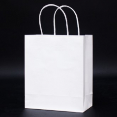 친환경 종이 쇼핑백 W 210*100*255