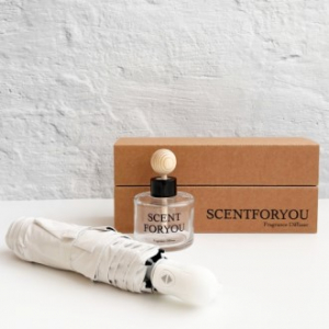 FINE 센트포유 차량용디퓨저 120ml 1구 + 초경량 핸디 자동3단 우산세트 SU11