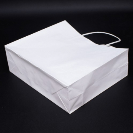 친환경 스마트 쇼핑백 W 320*105*280 #5