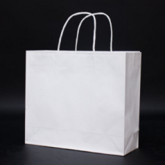 친환경 스마트 쇼핑백 W 320*105*280