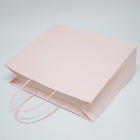 친환경 스마트 쇼핑백 P 320*105*280 #4