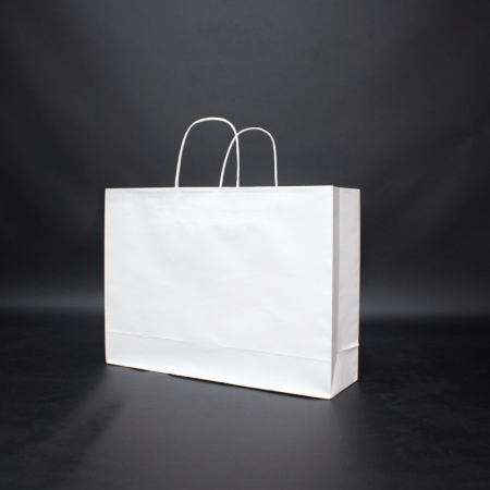 친환경 스마트 쇼핑백 W 440*120*320 #2