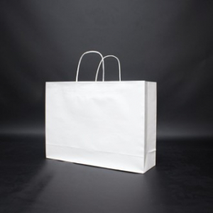 친환경 스마트 쇼핑백 W 440*120*320