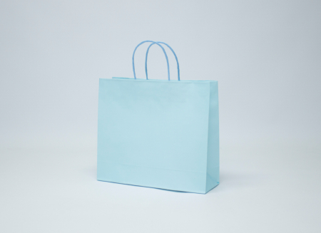 친환경 스마트 쇼핑백 B 320*105*280 #2