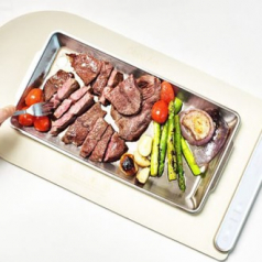 홈밀 플렉서블 다이닝 매직 워머 2구