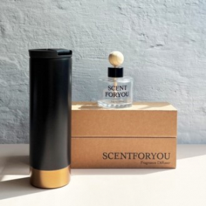 FINE 센트포유 차량용디퓨저 120ml 1구 + 벅스로얄텀블러세트 D39