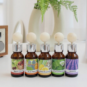 더허브샵 향기마을 차량용 에어컨 디퓨저 2p세트 [J1]