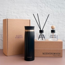 FINE 센트포유 실내용+차량용디퓨저 120ml  +락앤락뉴페더라이트링세트 D47