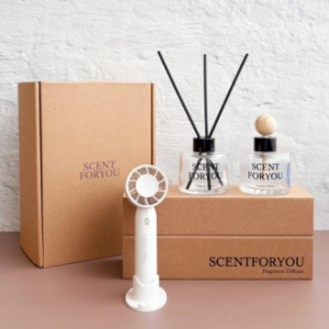 FINE 센트포유 실내용+차량용디퓨저 120ml  + 미니핸디선풍기세트 D53