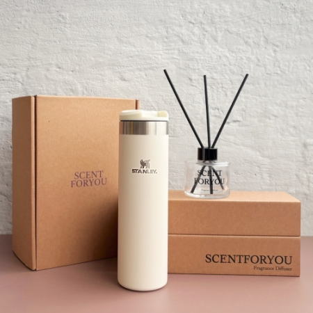 FINE 센트포유 디퓨저 120ml 1구+스탠리 에어로라이트보틀591ml 세트 SS13 #2