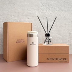 FINE 센트포유 디퓨저 120ml 1구+스탠리 에어로라이트보틀473ml 세트 SS7