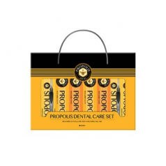 LG 다오릉 프로폴리스 덴탈세트 2530