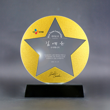 기업 단체 재직 승진 기념 포상용 공로패 ART435 #2