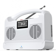 들리움 블루투스 스피커 온가족 올인원 휴대용 무선 스피커