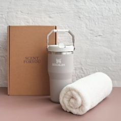 센트포유 스탠리 클래식 플립 스트로2.0텀블러591ml+송월타올세트 SS23