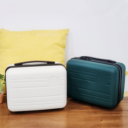 웰세스 레디백 기내용캐리어 파우치 하드 케이스 #6