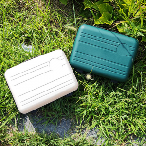 웰세스 레디백 기내용캐리어 파우치 하드 케이스