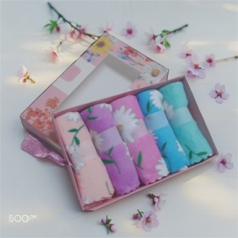 플라워 극세사 파워클린 행주 5P