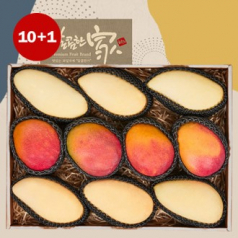 [달콤한가]스페셜 망고 혼합세트(골드망고6과+애플망고4과/총3.5kg내외) [10+1 덤증정]