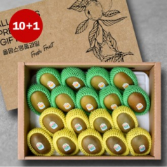 제스프리 골드키위+그린키위세트(2.4kg내외/썬골드키위9과+그린키위9과) [10+1 덤증정]