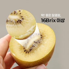 명절선물세트 제스프리 골드키위 18과 2.4kg