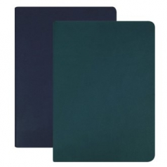 25절 버팔리노 다이어리