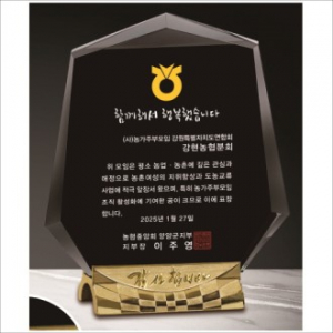 감사합니다받침 금도금 블랙 크리스탈 상패