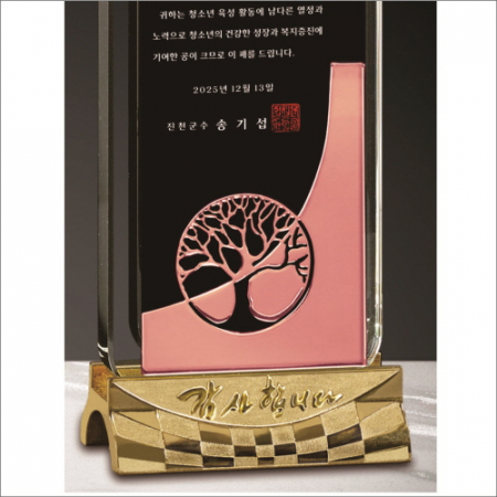 감사합니다 나무 브론즈 투톤 크리스탈 상패 #4