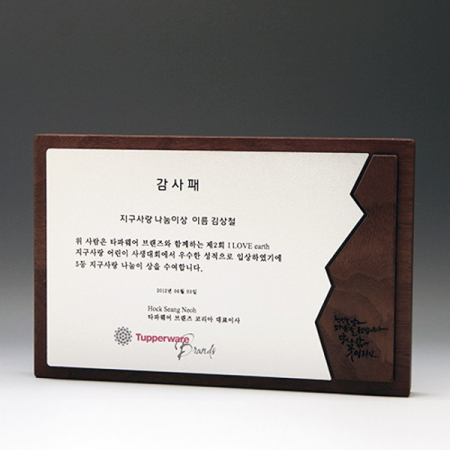 감사 위촉 공로 고급패 E5161 #2