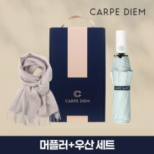 카르페디엠 3HH3C061 머플러 우산 세트