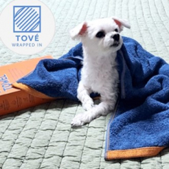 토베 오렌지 더블 펫 타올(40수/260g) 40x100cm (국산)