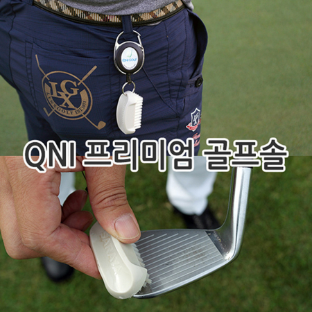 골프필드용품 아이언 헤드 청소 골프솔 #2