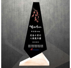 공로 재퇴직기념 감사패 DS12-20-2