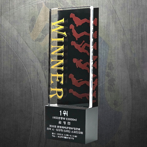 퇴직기념 위임 공로 재직기념패 DS12-14-2 #2